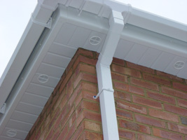 Fascias